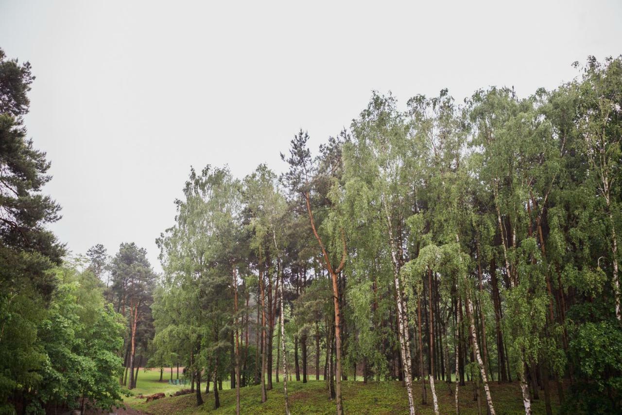 Apartament Iwona Kobyla Góra Exteriér fotografie